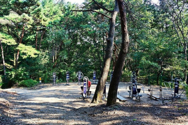 천마산 시립공원 여행 추천 - 메고지고