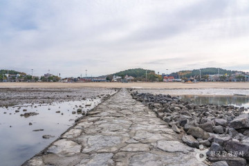 무창포항 여행 추천 - 메고지고