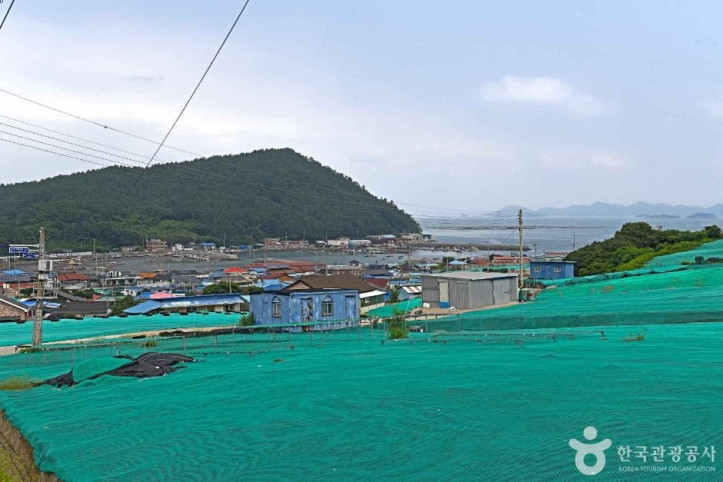 약산도(조약도) 여행 추천 - 메고지고