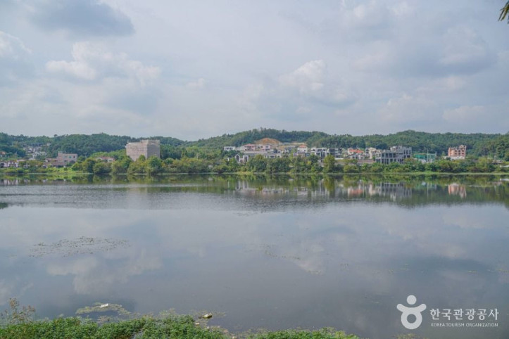 칠곡저수지 여행 추천 - 메고지고