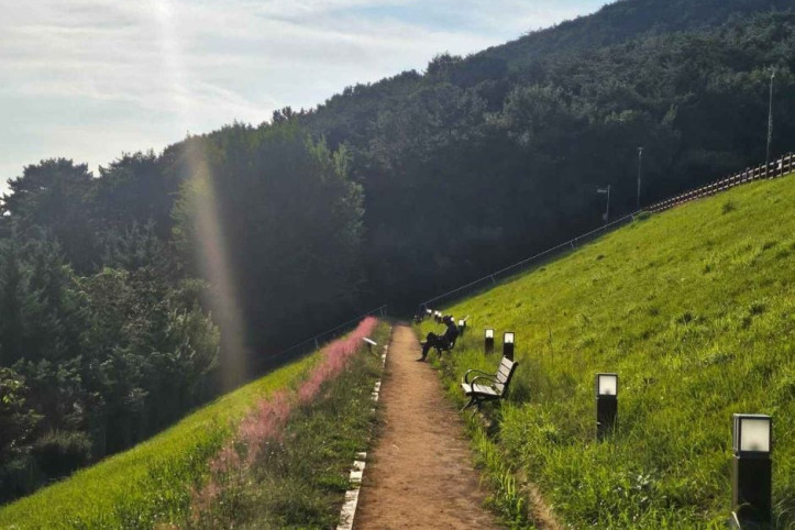 미평 봉화산 산림욕장 여행 추천 - 메고지고
