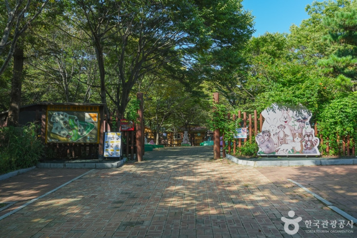 인천대공원 어린이동물원 여행 추천 - 메고지고