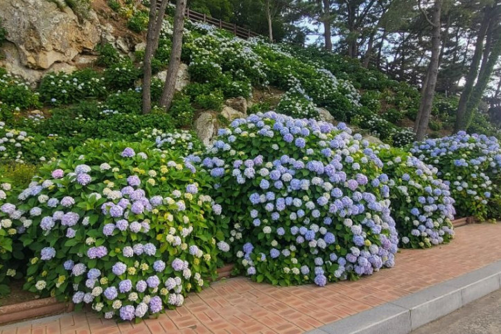 저구마을 여행 추천 - 메고지고