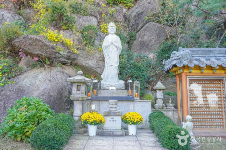 달마사(서울) 여행 추천 - 메고지고
