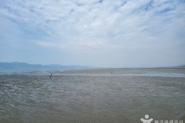 고창갯벌 여행 추천 - 메고지고