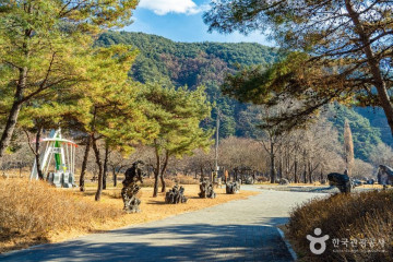 청성애원 우루루동물농장 여행 추천 - 메고지고