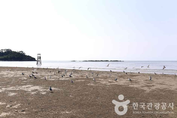 가마미해수욕장 여행 추천 - 메고지고
