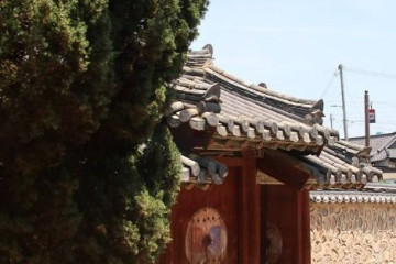 영천한의마을 여행 추천 - 메고지고
