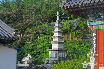 삼척 가시오가피마을 여행 추천 - 메고지고