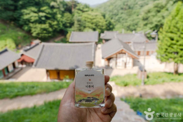 마을여행사 청보리 여행 추천 - 메고지고