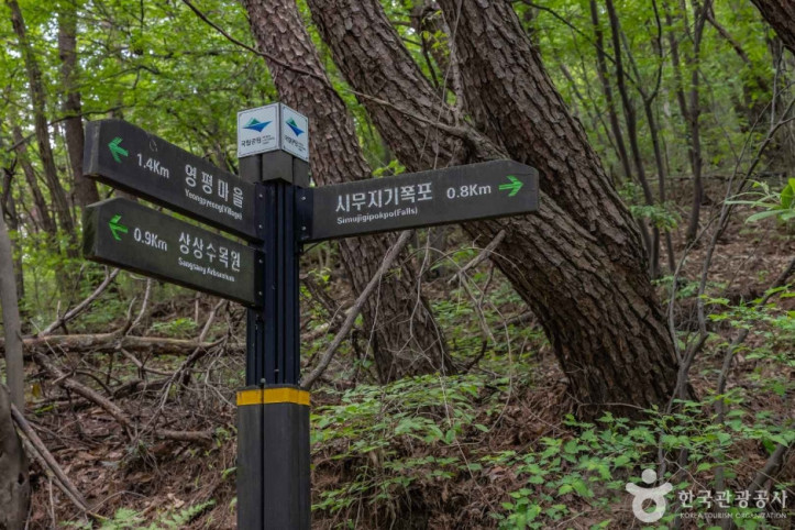 시무지기 폭포 (무등산권 국가지질공원) 여행 추천 - 메고지고
