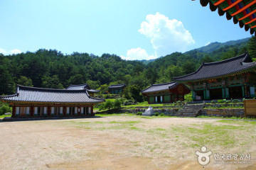 소금강장천마을 여행 추천 - 메고지고