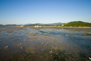 왕대사(보령) 여행 추천 - 메고지고