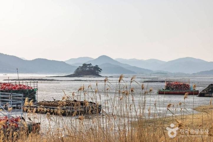 와온해변 여행 추천 - 메고지고