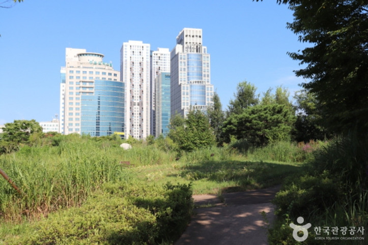 정부대전청사 자연마당 여행 추천 - 메고지고
