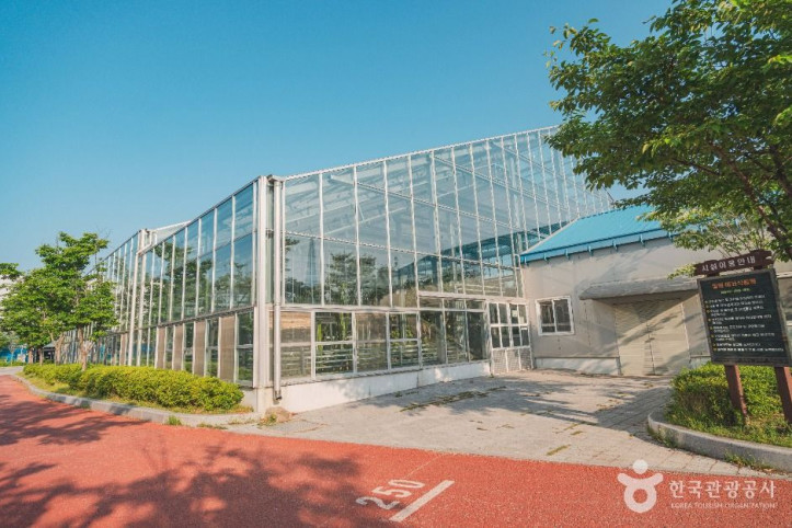 일원에코파크 여행 추천 - 메고지고