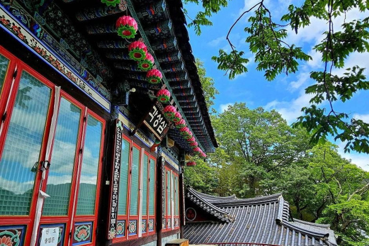 연호사 여행 추천 - 메고지고