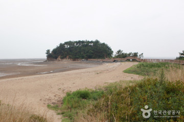 궁리포구 여행 추천 - 메고지고