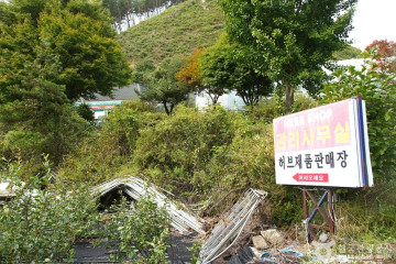 기미만세공원 여행 추천 - 메고지고