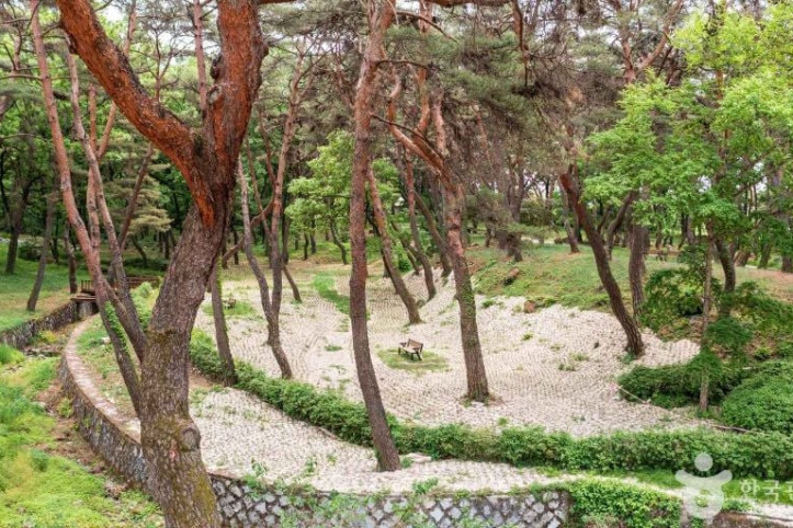 동호숲 여행 추천 - 메고지고