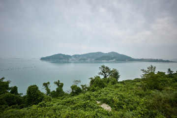 진도 고니류 도래지 여행 추천 - 메고지고