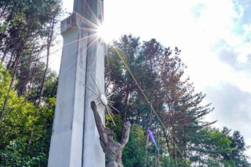 자라섬 여행 추천 - 메고지고