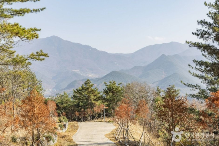 고원화목원 여행 추천 - 메고지고