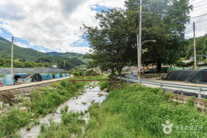 치목삼베마을 여행 추천 - 메고지고