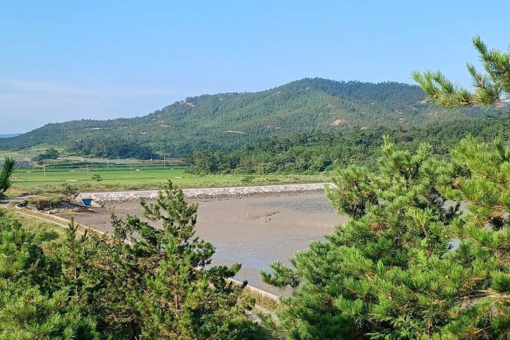 팔금도 여행 추천 - 메고지고