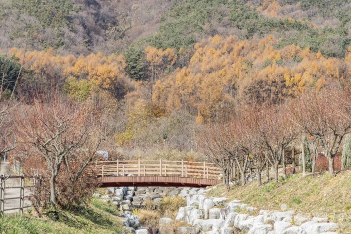 고원화목원 여행 추천 - 메고지고