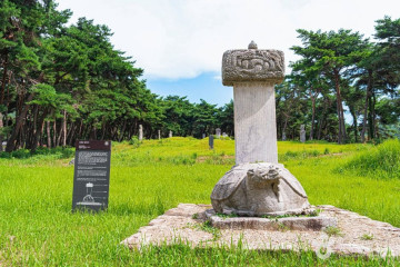 청호저수지 여행 추천 - 메고지고