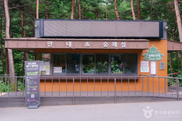 강릉 솔향수목원 여행 추천 - 메고지고