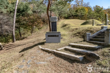 곤충도시 여행 추천 - 메고지고