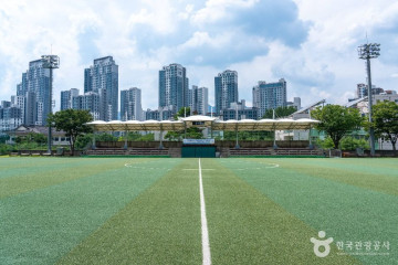 서울대공원 산림욕장 여행 추천 - 메고지고