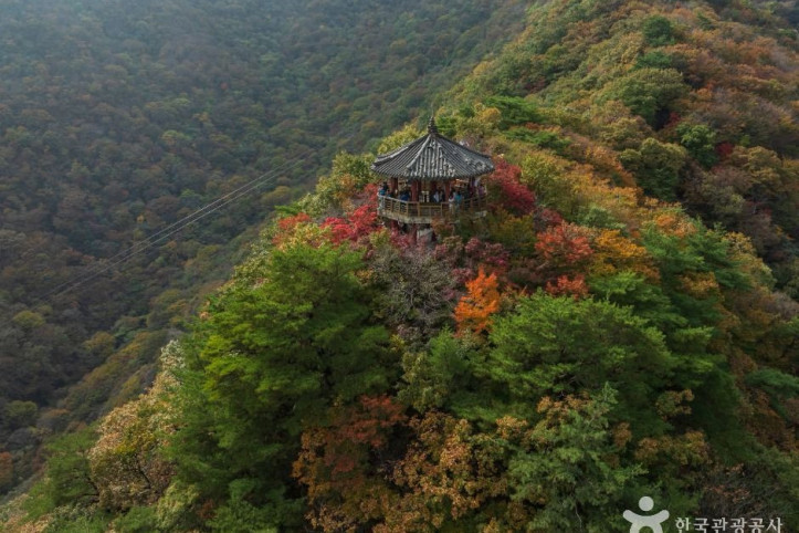 내장산국립공원 여행 추천 - 메고지고