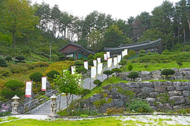 심원사(태백) 여행 추천 - 메고지고