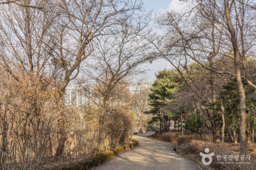 법룡사 여행 추천 - 메고지고