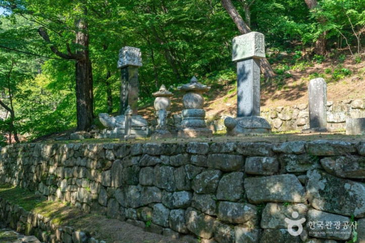 회진당원의대사지비 여행 추천 - 메고지고