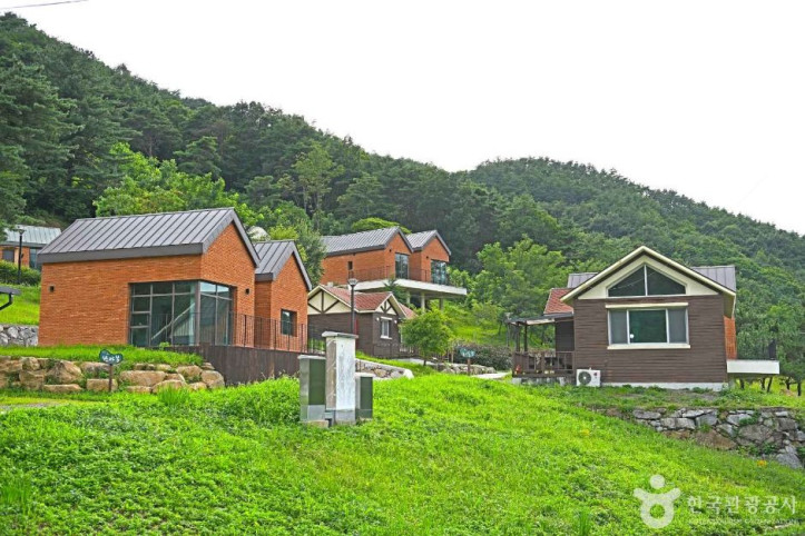 산수유 자연휴양림 여행 추천 - 메고지고