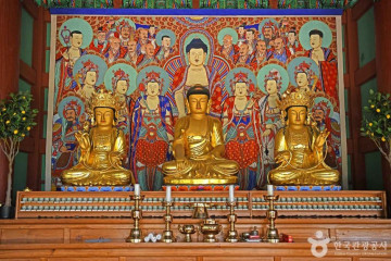 남원 진기리 느티나무 여행 추천 - 메고지고