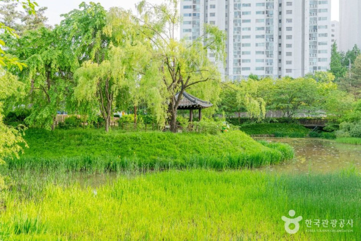 밤밭청개구리공원 여행 추천 - 메고지고