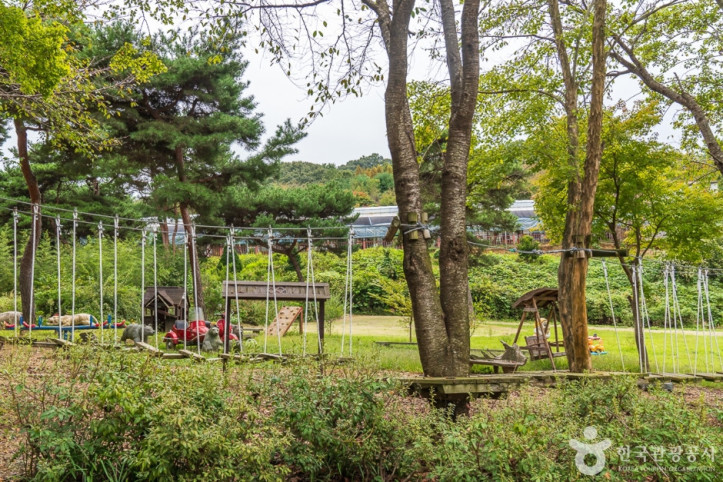이안숲속 여행 추천 - 메고지고