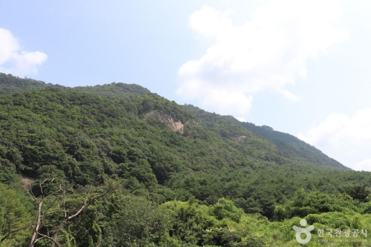 포암산(충주) 여행 추천 - 메고지고