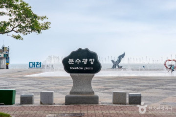 보령 해수욕장 관광특구 여행 추천 - 메고지고