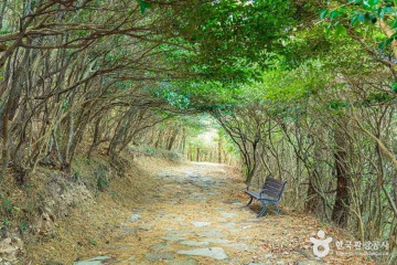 소안도 여행 추천 - 메고지고