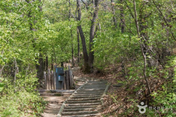 오동근린공원 유아숲체험장 여행 추천 - 메고지고