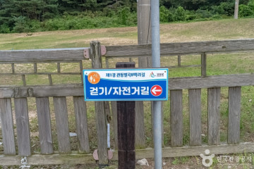 백도항/문암1리항 여행 추천 - 메고지고