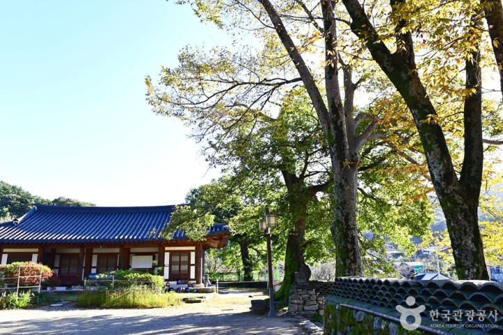 귀신사(김제) 여행 추천 - 메고지고