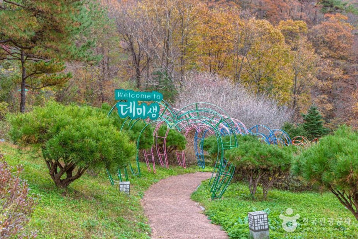 데미샘자연휴양림 여행 추천 - 메고지고