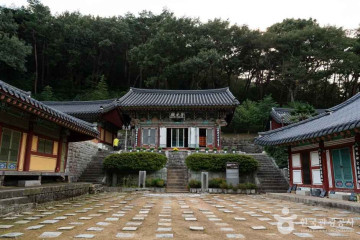 봉숫골 벚꽃길 여행 추천 - 메고지고